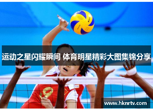 运动之星闪耀瞬间 体育明星精彩大图集锦分享