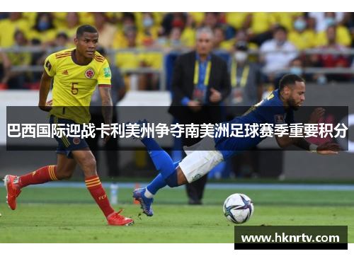 巴西国际迎战卡利美州争夺南美洲足球赛季重要积分