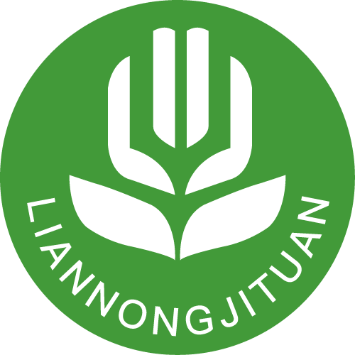 黄智平